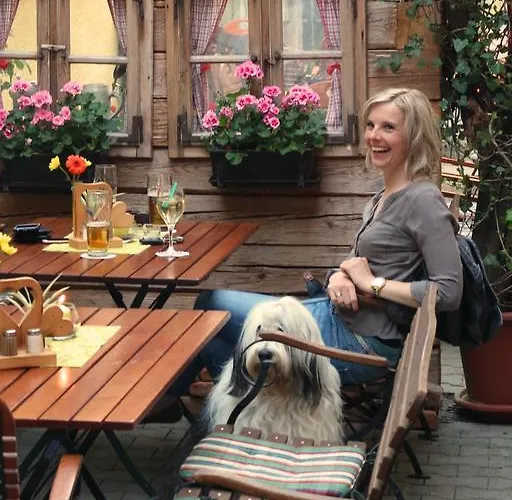 Bayrischer Loewe מלון 3*